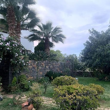 Ammoudi Hideaway Apartment Agios Nikolaos  Luaran gambar